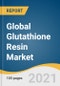 Global Glutathione Resin Market Size, Share & Trends Analysis Report by Application (Protein Purification, IP, Research), by Region (Asia Pacific, North America, Europe, MEA, CSA), and Segment Forecasts, 2021-2028 - Product Image