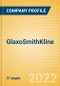 GlaxoSmithKline - Enterprise Tech Ecosystem Series - Product Thumbnail Image