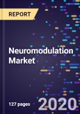 Neuromodulation Market Size, Share And Industry Analysis By Technology, By Biomaterial, By Application, By End-user And Region, Segment Forecasts To 2027- Product Image