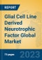 Glial Cell Line Derived Neurotrophic Factor Global Market Insights 2023, Analysis and Forecast to 2028, by Manufacturers, Regions, Technology, Product Type - Product Image