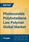 Photocurable Polybutadiene Low Polymer Global Market Insights 2023, Analysis and Forecast to 2028, by Manufacturers, Regions, Technology, Application, Product Type - Product Thumbnail Image