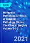 Molecular Pathology, An Issue of Surgical Pathology Clinics. The Clinics: Surgery Volume 14-3 - Product Thumbnail Image