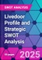 Livedoor Profile and Strategic SWOT Analysis - Product Thumbnail Image