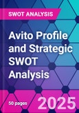 Avito Profile and Strategic SWOT Analysis- Product Image