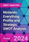 Nintendo Everything Profile and Strategic SWOT Analysis- Product Image