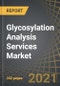 Glycosylation Analysis Services Market by Company Size, Analytical Techniques and Key Geographical Regions: Industry Trends and Global Forecasts, 2021-2030 - Product Thumbnail Image
