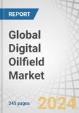 Global Digital Oilfield Market by Solution (Hardware, Software & Service, Data Storage Solutions), Processes (Reservoir, Production, Drilling Optimizations, Safety Management), Application (Onshore, Offshore), Technology and Region - Forecast to 2029- Product Image