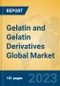 Gelatin and Gelatin Derivatives Global Market Insights 2023, Analysis and Forecast to 2028, by Manufacturers, Regions, Technology, Application, Product Type - Product Image