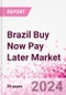 Brazil Buy Now Pay Later Business and Investment Opportunities Databook - 75+ KPIs on BNPL Market Size, End-Use Sectors, Market Share, Product Analysis, Business Model, Demographics - Q1 2024 Update - Product Thumbnail Image