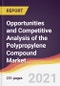 Opportunities and Competitive Analysis of the Polypropylene Compound Market - Product Image
