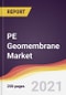 PE Geomembrane Market Report: Trends, Forecast and Competitive Analysis - Product Image