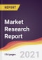 Trends, Opportunities and Competitive Analysis of the Antimicrobial Active Ingredient Market - Product Image