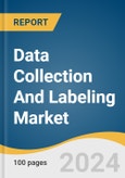 Data Collection And Labeling Market Size, Share & Trends Analysis Report By Data Type (Audio, Image/ Video, Text), By Vertical (IT, Automotive, Government, Healthcare, BFSI), By Region, And Segment Forecasts, 2023 - 2030- Product Image