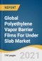 Global Polyethylene Vapor Barrier Films For Under Slab Market Size, Share & Trends Analysis Report by Product (HDPE, LLDPE), by Application, by Thickness, by End-use, by Grade, by Region, and Segment Forecasts, 2021-2028 - Product Image