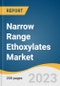 Narrow Range Ethoxylates Market Size, Share & Trends Analysis Report By Application (Commercial Cleaning, Household Cleaning, Industrial Cleaning), By Region, And Segment Forecasts, 2023 - 2030 - Product Image