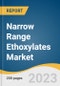 Narrow Range Ethoxylates Market Size, Share & Trends Analysis Report By Application (Commercial Cleaning, Household Cleaning, Industrial Cleaning), By Region, And Segment Forecasts, 2023 - 2030 - Product Thumbnail Image