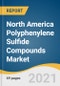 North America Polyphenylene Sulfide Compounds Market Size, Share & Trends Analysis Report by Application (Automotive, Water Supply/Fluid Management, Electrical & Electronics), by Country, and Segment Forecasts, 2021-2030 - Product Thumbnail Image