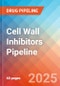 Cell wall inhibitors - Pipeline Insight, 2024 - Product Thumbnail Image