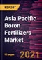 Asia Pacific Boron Fertilizers Market Forecast to 2028 - COVID-19 Impact and Regional Analysis By Source (Boric Acid, Borax, and Others) and Application (Fruits and Vegetables, Cereals and Grains, Oilseeds and Pulses, and Others) - Product Thumbnail Image