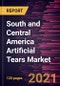 South and Central America Artificial Tears Market Forecast to 2028 - COVID-19 Impact and Regional Analysis By Type; Delivery Mode; Application - Product Thumbnail Image