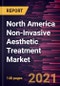 North America Non-Invasive Aesthetic Treatment Market Forecast to 2028 - COVID-19 Impact and Regional Analysis By Procedure (Injectables, Skin Rejuvenation, and Others) and End User (Hospitals, Clinics and Medical Spas, and Others) - Product Image