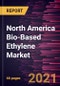 North America Bio-Based Ethylene Market Forecast to 2028 - COVID-19 Impact and Regional Analysis By Raw Material (Sugars, Starch, and Lignocellulosic Biomass) and End-User Industry (Packaging, Detergents, Lubricant, and Additives) - Product Thumbnail Image