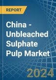 China - Unbleached Sulphate Pulp - Market Analysis, Forecast, Size, Trends and Insights- Product Image
