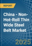 China - Non-Hot-Roll Thin Wide Steel Belt - Market Analysis, Forecast, Size, Trends and Insights. Update: COVID-19 Impact- Product Image