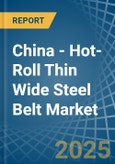 China - Hot-Roll Thin Wide Steel Belt - Market Analysis, Forecast, Size, Trends and Insights. Update: COVID-19 Impact- Product Image