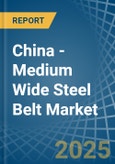 China - Medium Wide Steel Belt - Market Analysis, Forecast, Size, Trends and Insights. Update: COVID-19 Impact- Product Image