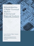Hybrid-Satellite Cellular Terminal Market - A Global and Regional Analysis: Focus on End User, Platform, Frequency Band, and Service - Analysis and Forecast, 2021-2031- Product Image