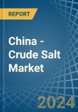 China - Crude Salt - Market Analysis, Forecast, Size, Trends and Insights. Update: COVID-19 Impact- Product Image