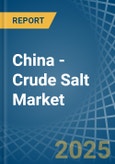 China - Crude Salt - Market Analysis, Forecast, Size, Trends and Insights. Update: COVID-19 Impact- Product Image