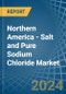 Northern America - Salt and Pure Sodium Chloride - Market Analysis, Forecast, Size, Trends and Insights. Update: COVID-19 Impact - Product Thumbnail Image