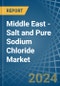 Middle East - Salt and Pure Sodium Chloride - Market Analysis, Forecast, Size, Trends and Insights. Update: COVID-19 Impact - Product Thumbnail Image