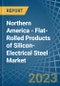 Northern America - Flat-Rolled Products of Silicon-Electrical Steel - Market Analysis, Forecast, Size, Trends and Insights. Update: COVID-19 Impact - Product Image