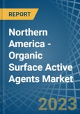 Northern America - Organic Surface Active Agents - Market Analysis, Forecast, Size, Trends and Insights. Update: COVID-19 Impact- Product Image