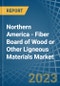 Northern America - Fiber Board of Wood or Other Ligneous Materials - Market Analysis, Forecast, Size, Trends and Insights. Update: COVID-19 Impact - Product Image