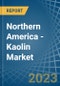 Northern America - Kaolin - Market Analysis, Forecast, Size, Trends and Insights. Update: COVID-19 Impact - Product Thumbnail Image