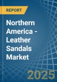 Northern America - Leather Sandals - Market Analysis, Forecast, Size, Trends and Insights. Update: COVID-19 Impact- Product Image