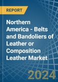 Northern America - Belts and Bandoliers of Leather or Composition Leather - Market Analysis, Forecast, Size, Trends and Insights. Update: COVID-19 Impact- Product Image