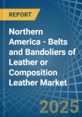 Northern America - Belts and Bandoliers of Leather or Composition Leather - Market Analysis, Forecast, Size, Trends and Insights. Update: COVID-19 Impact- Product Image