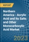 Northern America - Acrylic Acid and Its Salts and Other Monocarboxylic Acid - Market Analysis, Forecast, Size, Trends and Insights. Update: COVID-19 Impact - Product Image