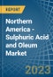Northern America - Sulphuric Acid and Oleum - Market Analysis, Forecast, Size, Trends and Insights. Update: COVID-19 Impact - Product Thumbnail Image