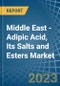 Middle East - Adipic Acid, Its Salts and Esters - Market Analysis, Forecast, Size, Trends and Insights. Update: COVID-19 Impact - Product Thumbnail Image