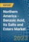 Northern America - Benzoic Acid, Its Salts and Esters - Market Analysis, Forecast, Size, Trends and Insights. Update: COVID-19 Impact - Product Image