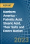 Northern America - Palmitic Acid, Stearic Acid, Their Salts and Esters - Market Analysis, Forecast, Size, Trends and Insights. Update: COVID-19 Impact - Product Image