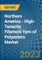 Northern America - High-Tenacity Filament Yarn of Polyesters - Market Analysis, Forecast, Size, Trends and Insights. Update: COVID-19 Impact - Product Image