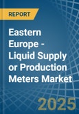 Eastern Europe - Liquid Supply or Production Meters - Market Analysis, Forecast, Size, Trends and Insights. Update: COVID-19 Impact- Product Image