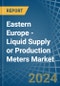 Eastern Europe - Liquid Supply or Production Meters - Market Analysis, Forecast, Size, Trends and Insights. Update: COVID-19 Impact - Product Image